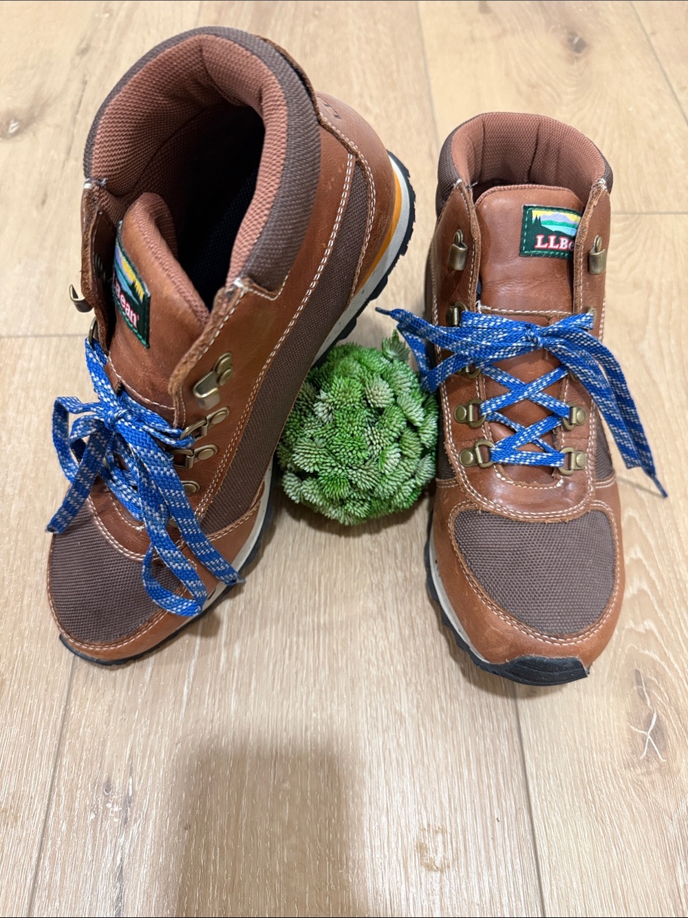 L.L. Bean Women’s Brown and Blue Hiking Boots - 10